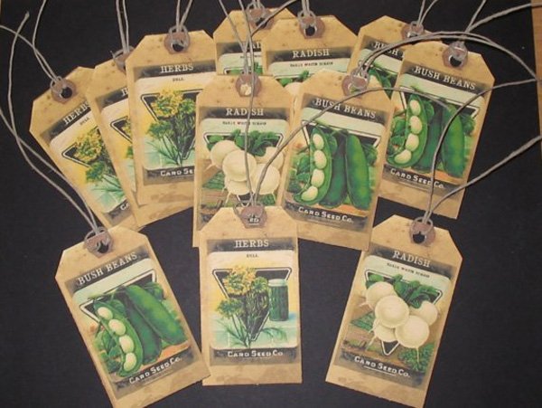 Seed Tag