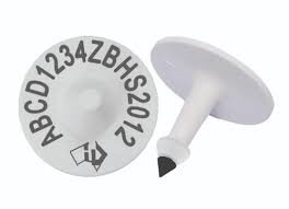 Button Tag
